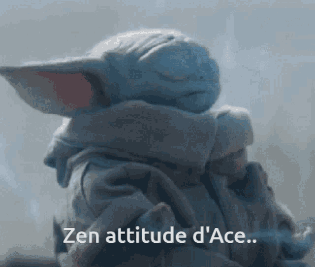 a baby yoda with the words zen attitude d' ace on the bottom