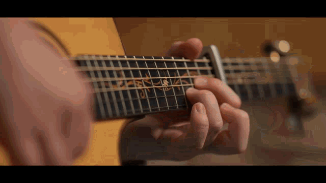 a person is playing an acoustic guitar with a spider on it