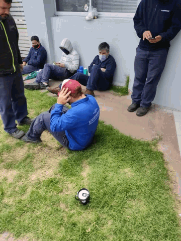 El Colo GIF