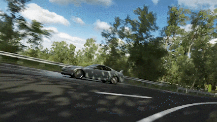 a car is driving down a road with trees on both sides