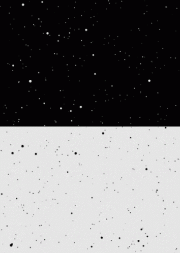Fall GIF - Black White Contrast GIFs