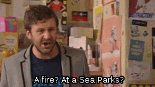 Roy The It Crowd Fire GIF