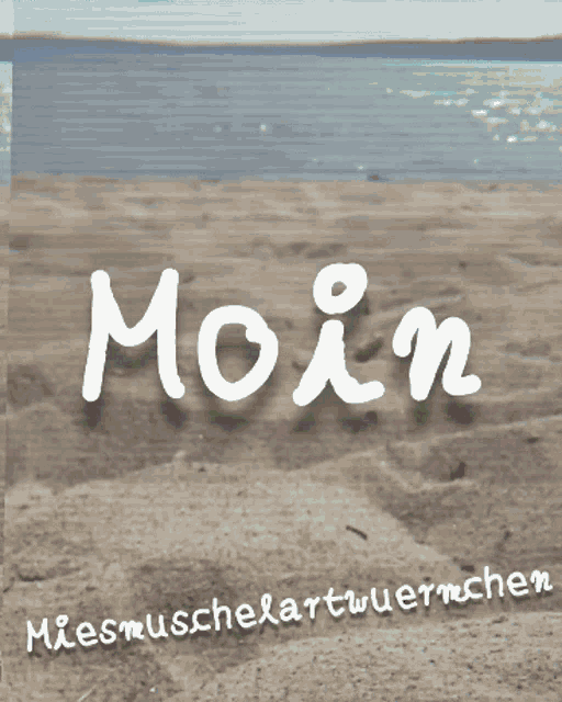 a poster with the word moin written in white