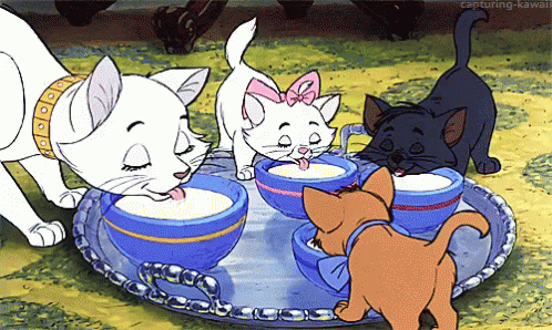 Dinnertime GIF - The Aristocats Cats Drink GIFs