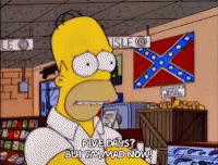 Homer The Simpsons GIF - Homer The Simpsons Gun GIFs