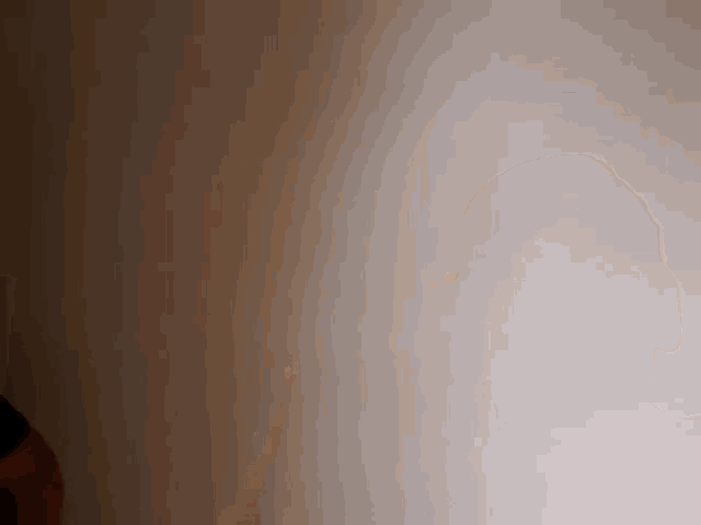 a close up of a person 's hand holding a lighter in front of a white wall .