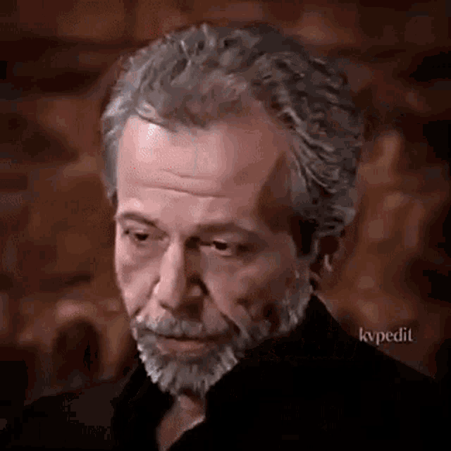 a man with gray hair and a beard is wearing a black shirt and looking at the camera .