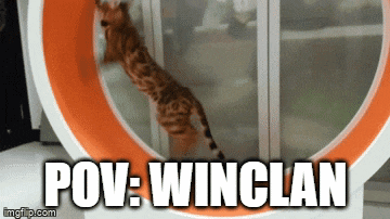 a picture of a cat on a hamster wheel with the caption " pov winclan "
