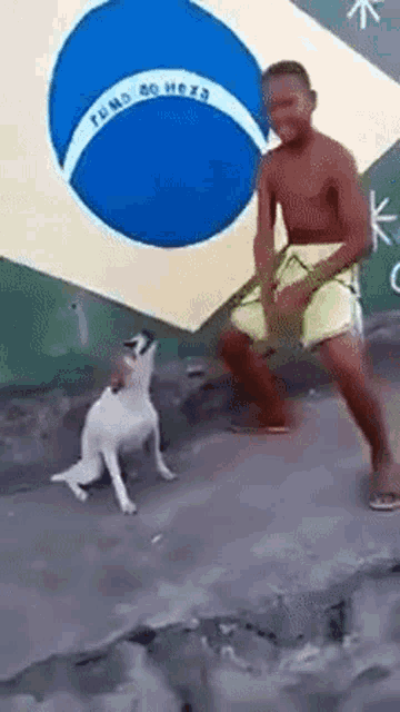 Cachorro Brasil GIF - Cachorro Brasil GIFs