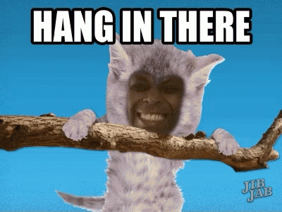 Democrat Hang In There GIF - Democrat Hang In There Cat GIFs