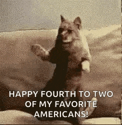 a cat is sitting on its hind legs on a couch and dancing .