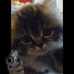 a close up of a cat holding a gun in its mouth .