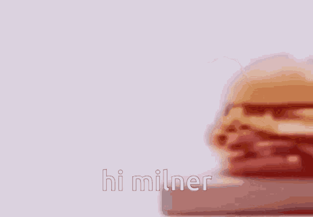 a close up of a hamburger with the words hi milner written on it