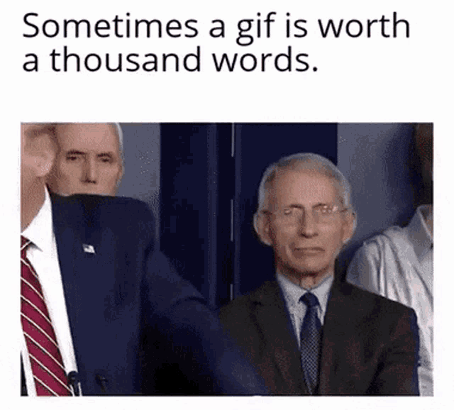 Trump Facepalm GIF - Trump Facepalm Stupid GIFs