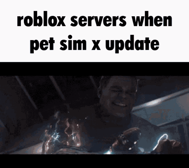 Roblox Pet Simulator X GIF - Roblox Pet Simulator X Roblox Servers GIFs