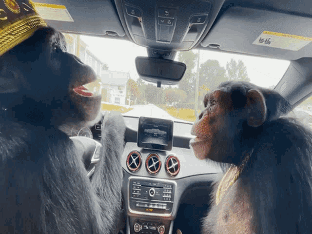Monkey Champese GIF - Monkey Champese Car GIFs