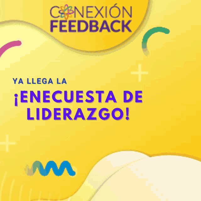 a yellow background with the words conexion feedback