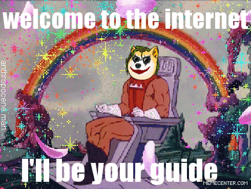 a doge sitting in front of a rainbow with the words welcome to the internet