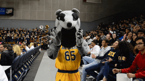 a mascot with the number 65 on his jersey stands in front of a crowd