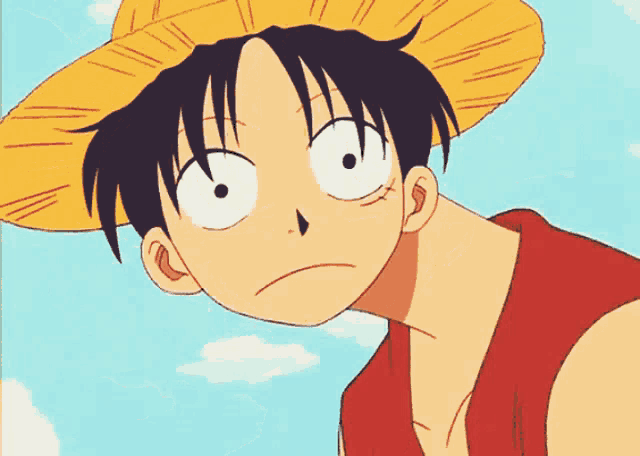 a cartoon character wearing a straw hat and a red vest smiles