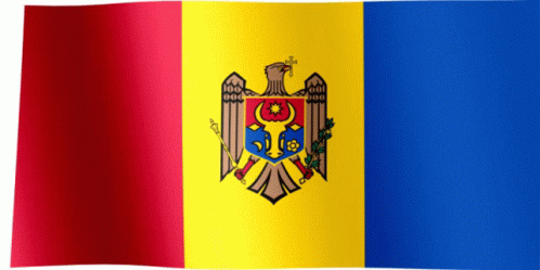 Moldovian Flag GIF - Moldovian Flag GIFs
