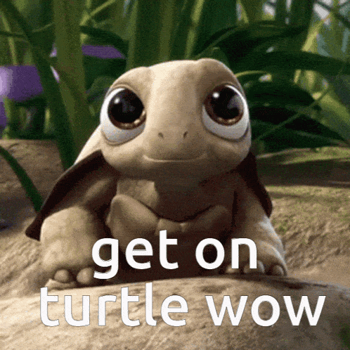 a picture of a turtle with the words get on turtle wow