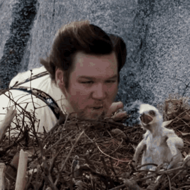 a man is looking at a baby bird in a nest