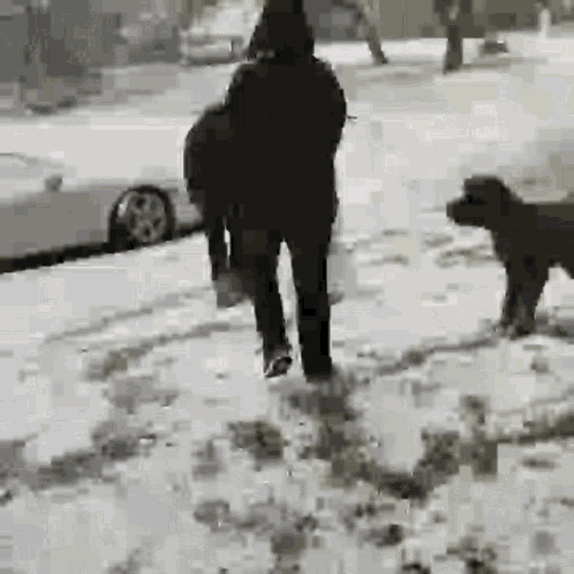a man and a dog walking in the snow