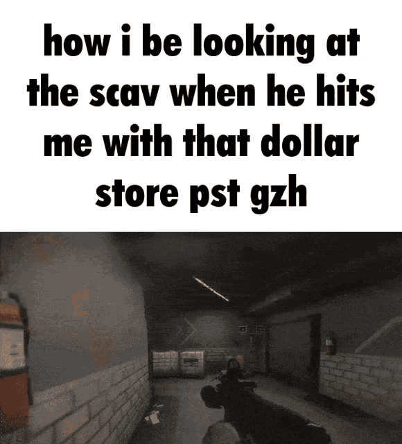 how i be looking at the scav when he hits me with that dollar store pst gzh meme