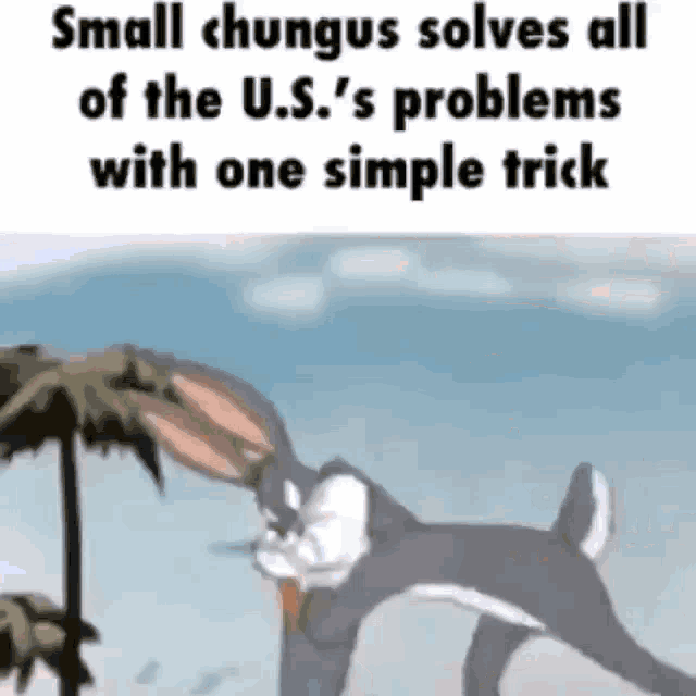 small chungus solves all of the u.s. problems with one simple trick