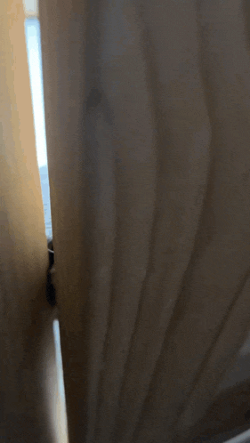 a blurred image of a person holding a door open