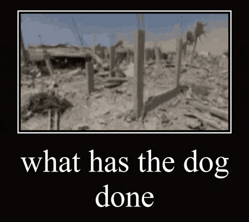 a poster with a picture of a fence and the words " what has the dog done "
