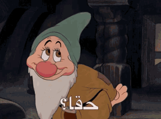 a cartoon character with a beard and a green hat says " dwarf "
