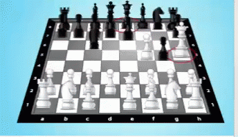 Xadrez Chess GIF - Xadrez Chess Checkmate GIFs