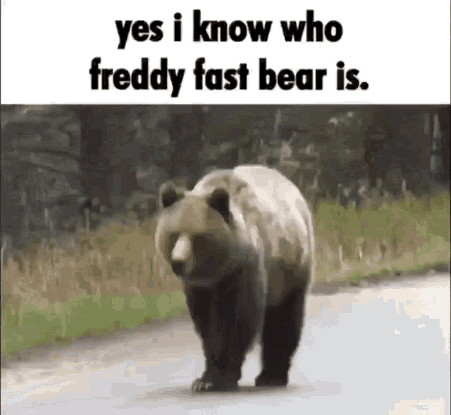 a bear is walking down a road with the words `` yes i know who freddy fast bear is '' .