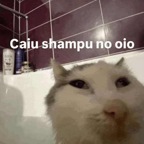 a cat in a bathtub with the words caiu shampu no oio written on it