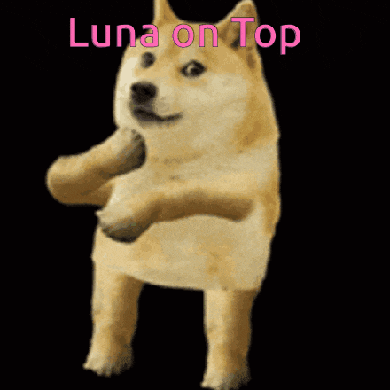 a doge with the words luna on top written above it
