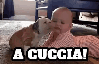 a baby is laying on the floor with a puppy kissing it on the cheek .