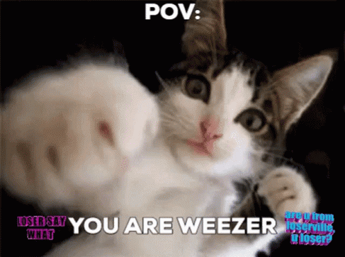 Weezer Pov GIF - Weezer Pov Epic GIFs