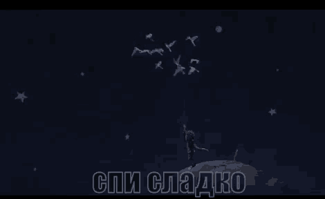 a flock of birds flying in the night sky with a person standing on top of a snow covered mountain .