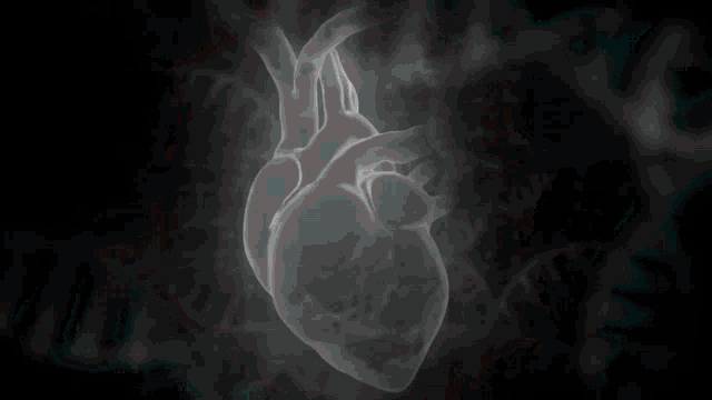 an x-ray of a heart with a red line