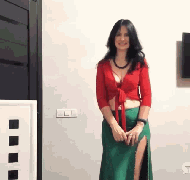 a woman in a red top and a green skirt is standing in front of a wall .