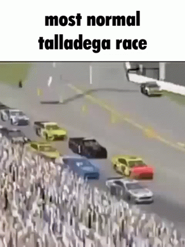 Talladega Cars GIF - Talladega Cars Nascar GIFs
