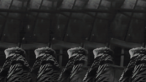 Epex Epex Can We Surrender GIF - Epex Epex Can We Surrender Epex Yewang GIFs