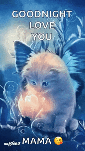 a picture of a cat with wings and the words goodnight love you