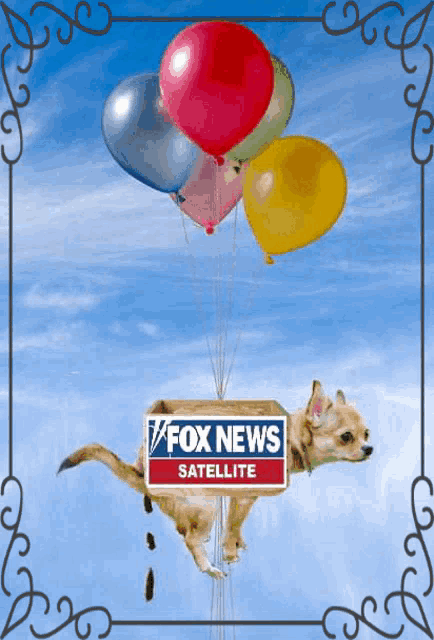 a dog is flying through the air with balloons and a fox news satellite sign