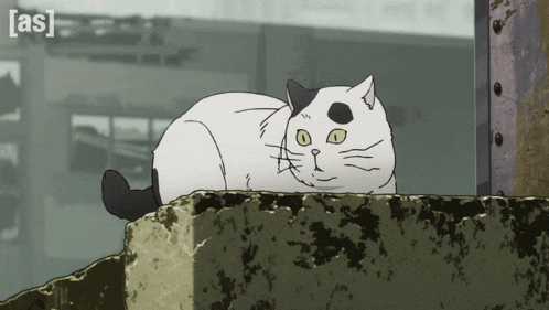a black and white cat is laying on a concrete ledge with the words [ as ] visible in the corner