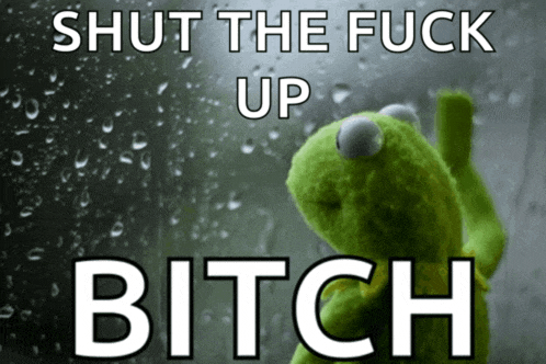a kermit the frog with the words shut the fuck up bitch behind him