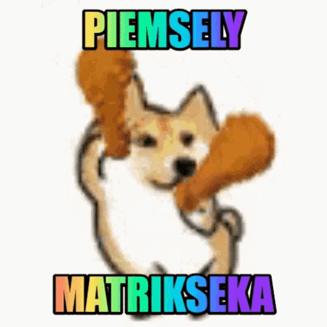 a doge holding up two fried chicken thighs with the words piemsely matrikseka above him
