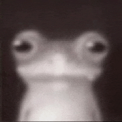 a close up of a frog 's face with big eyes on a black background .